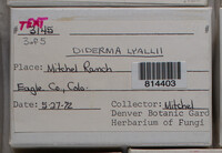 Image Associated With the Occurence